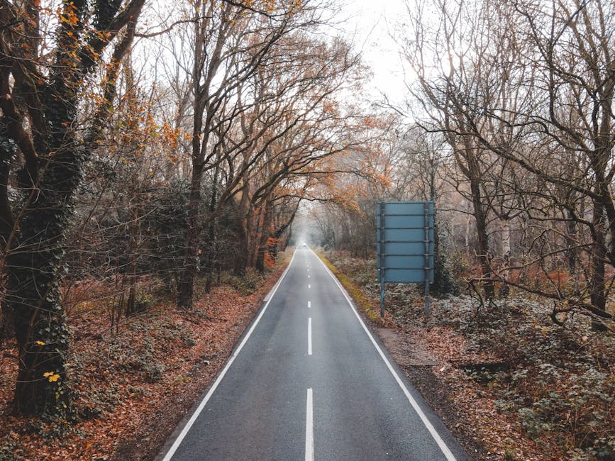 A straight, narrow country road with a broken white line running down the centre, flanked by leafless trees with sparse autumn foliage on both sides. The overcast sky casts diffuse natural light on the scene, and a blank blue roadside sign is visible on the right side of the road. The road appears to be in a rural area, suitable for peaceful home relocation journeys. The image captures the quiet, scenic environment that might be encountered during house removals or furniture transport services, such as those offered by Man with Van Kenley, as part of packing and moving logistics. The setting illustrates a typical route used for loading and transportation of household items, with no vehicles or moving equipment visible in this shot.